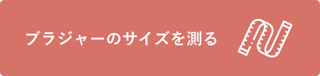 セルフフィッティング 公式 下着通販 アモスタイル バイ トリンプ